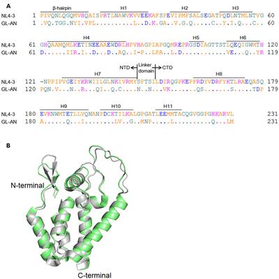 Comparison of Biochemical Properties of HIV-1 and HIV-2 Capsid Proteins